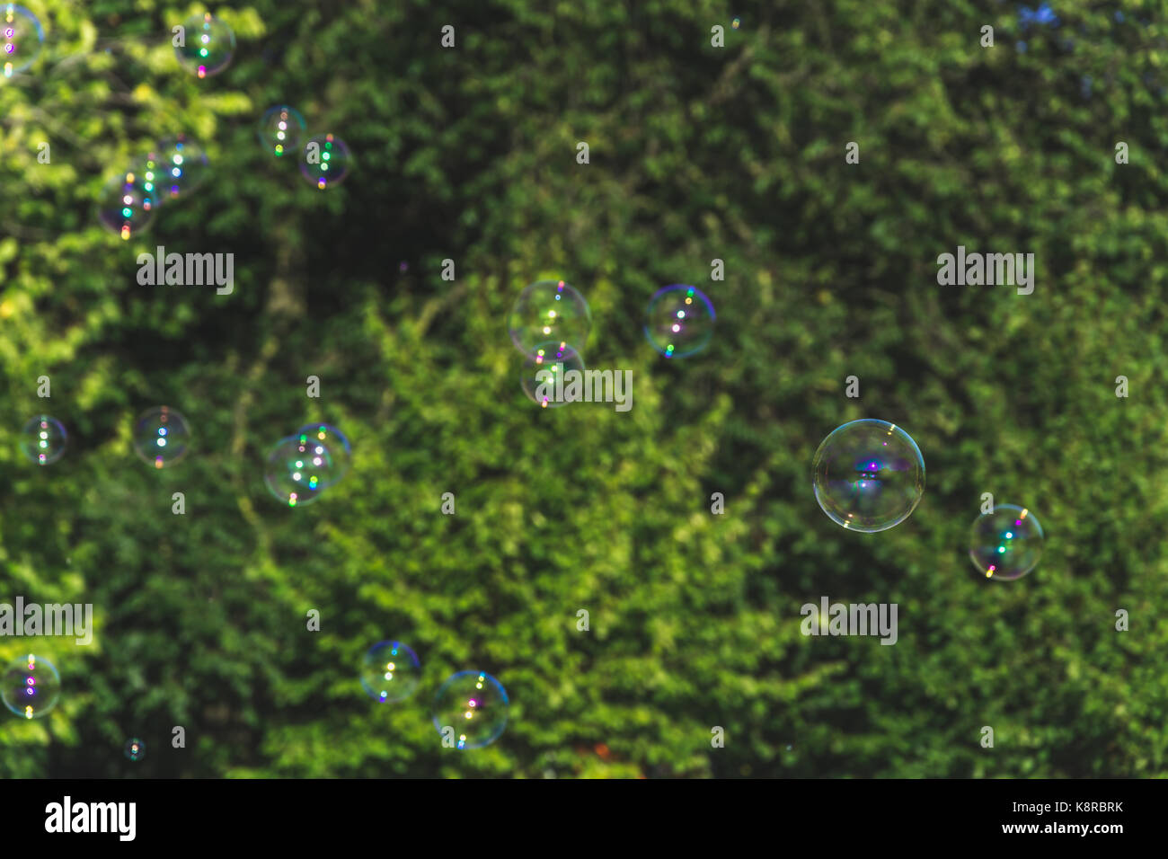 Soap Bubbles with a Green Background in Summertime Stock Photo - Alamy