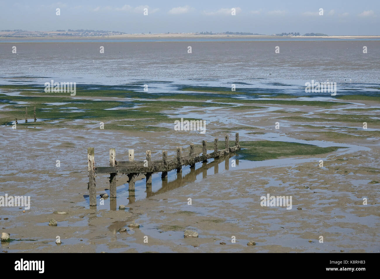 Wooden groyne on South Swale, Kent Wildlife Trust. Looking towards the Isle of Sheppey. Stock Photo