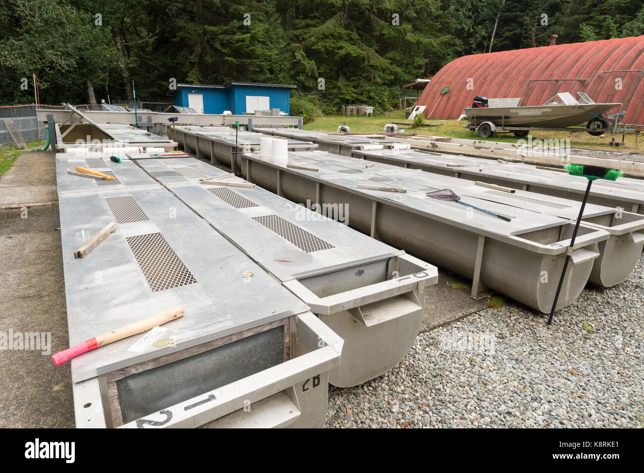 Salmon tanks at the Thornton Creek Hatchery near Ucluelet, BC, Canada