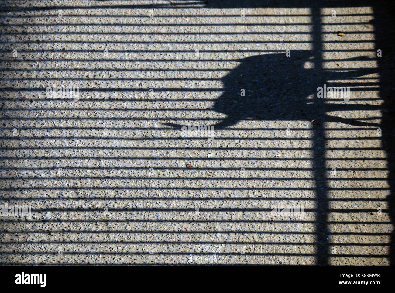 the charms of life diversity in dhaka, city , bangladesh, on dec 2015