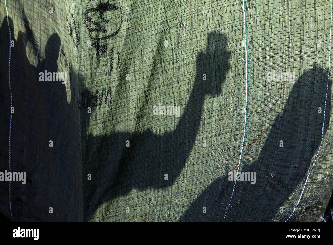 the charms of life diversity in dhaka, city , bangladesh, on dec 2015