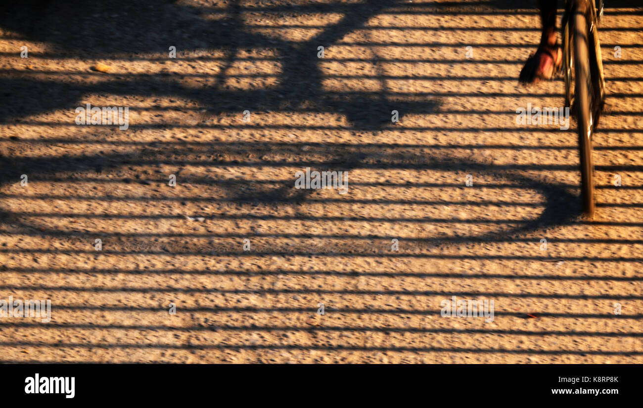 the charms of life diversity in dhaka, city , bangladesh, on dec 2015