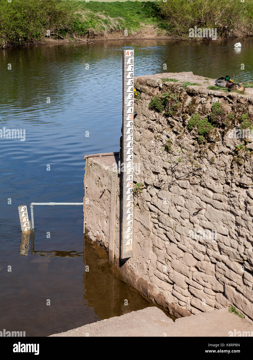 WATER LEVEL GUAGE RIVER WYE Stock Photo - Alamy