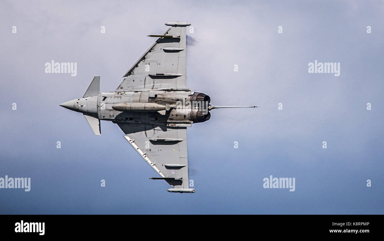 Raf Pilot Typhoon High Resolution Stock Photography and Images - Alamy