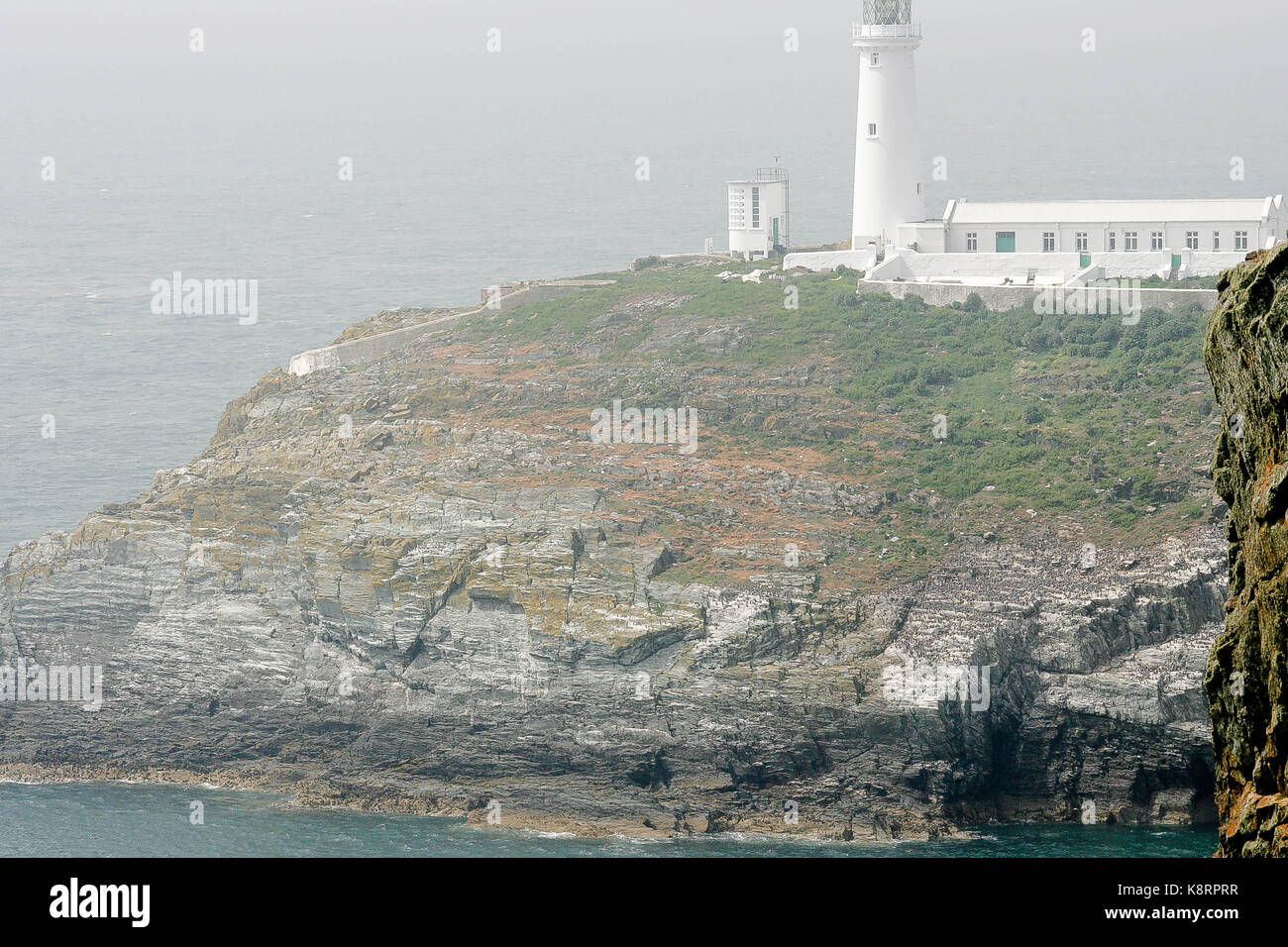 South Stack, Anglesey, North Wales Stock Photo Alamy