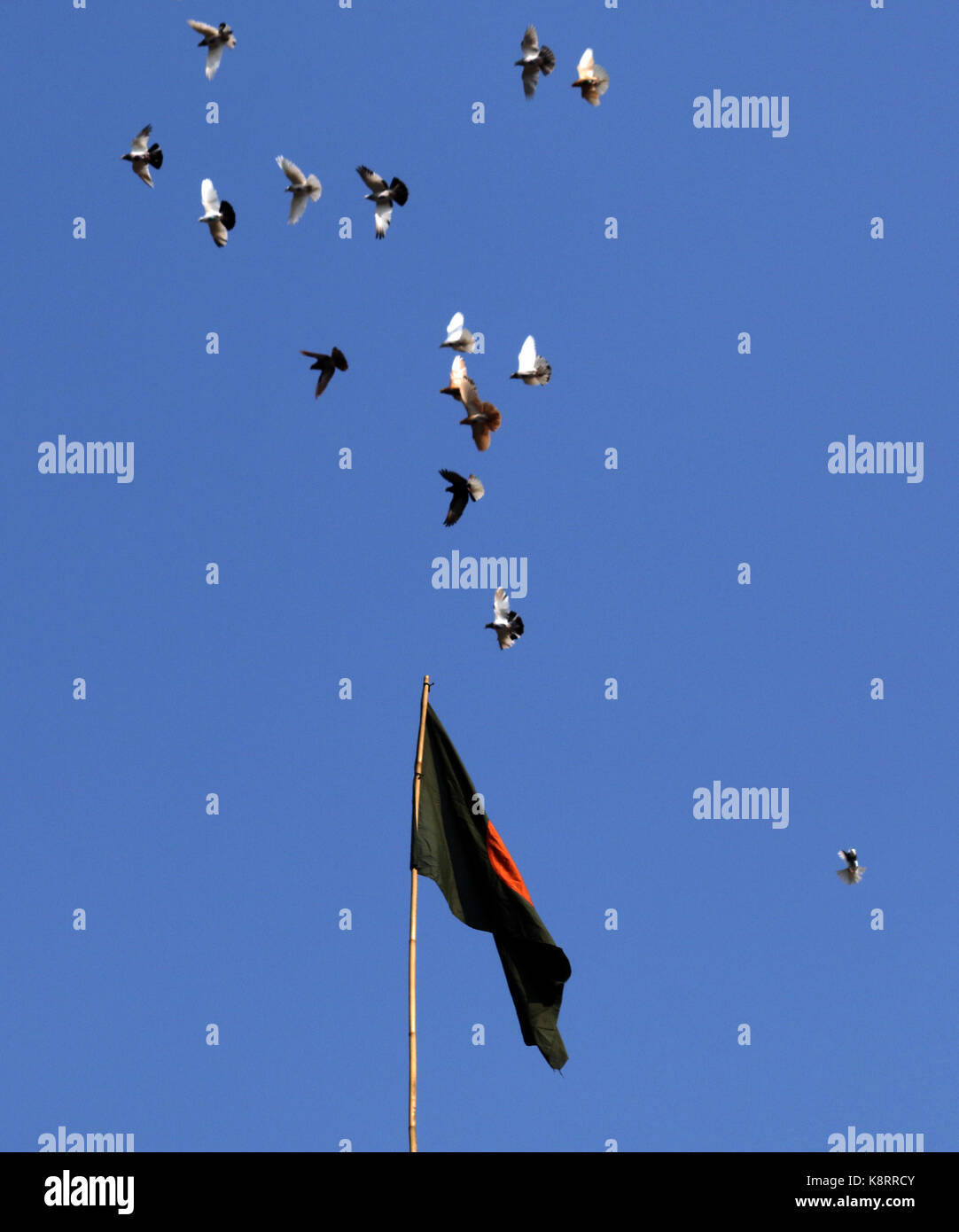 the charms of life diversity in dhaka, city , bangladesh, on dec 2015