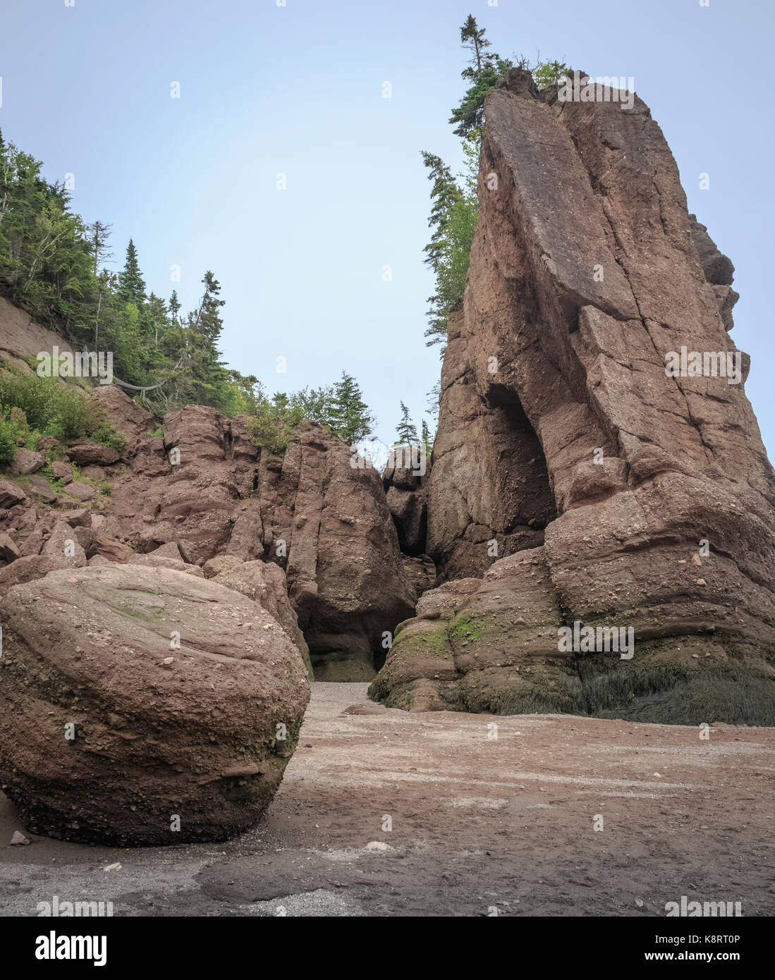 Large boulder fallen from cliff watt at Hopewell Rocks, Fundy National Park, Bay of Fundy, New Brunswick, Canada Stock Photo