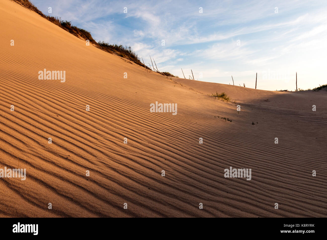 Ripples from Lake Michigan winds, at Sleeping Bear Dunes National Lakeshore. Dead trees, from a ghost forest, rise in the distance Stock Photo