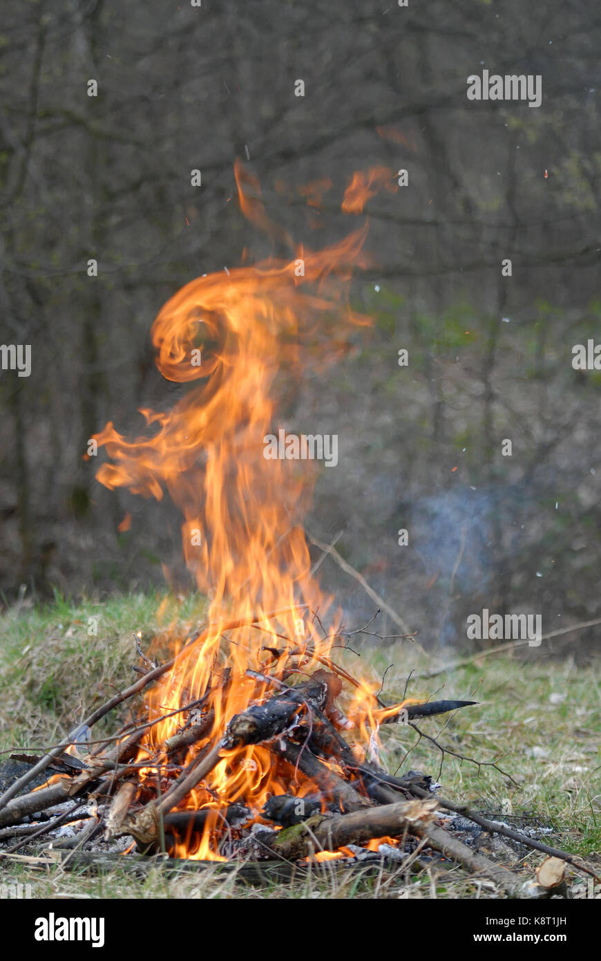 Fire is in shape of rabbit. Nice illusion Stock Photo - Alamy