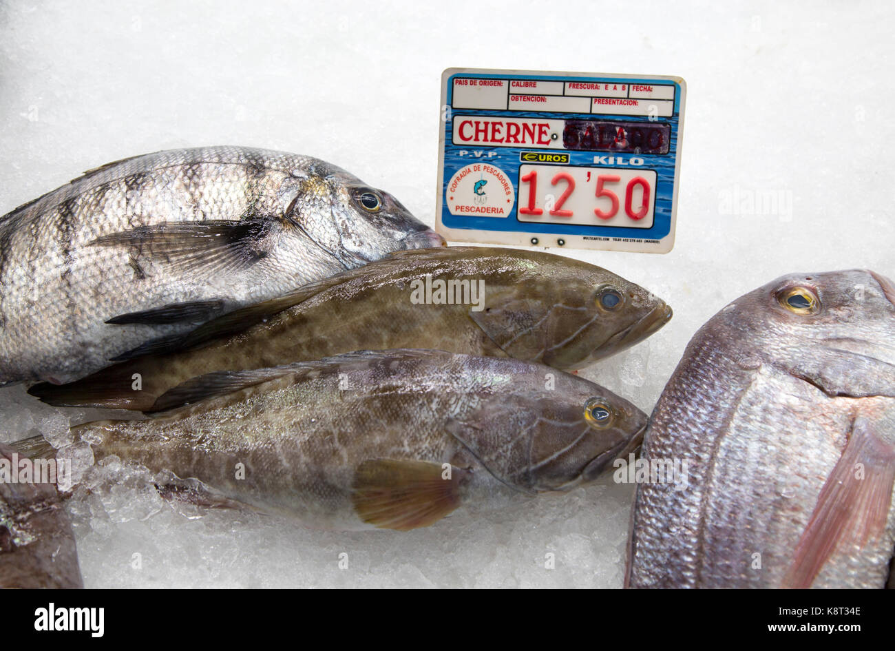 Wreckfish, also known as Stone Bass or Bass Grouper, fishmongers at Playa Blanca, Lanzarote, Canary Islands, Spain Stock Photo