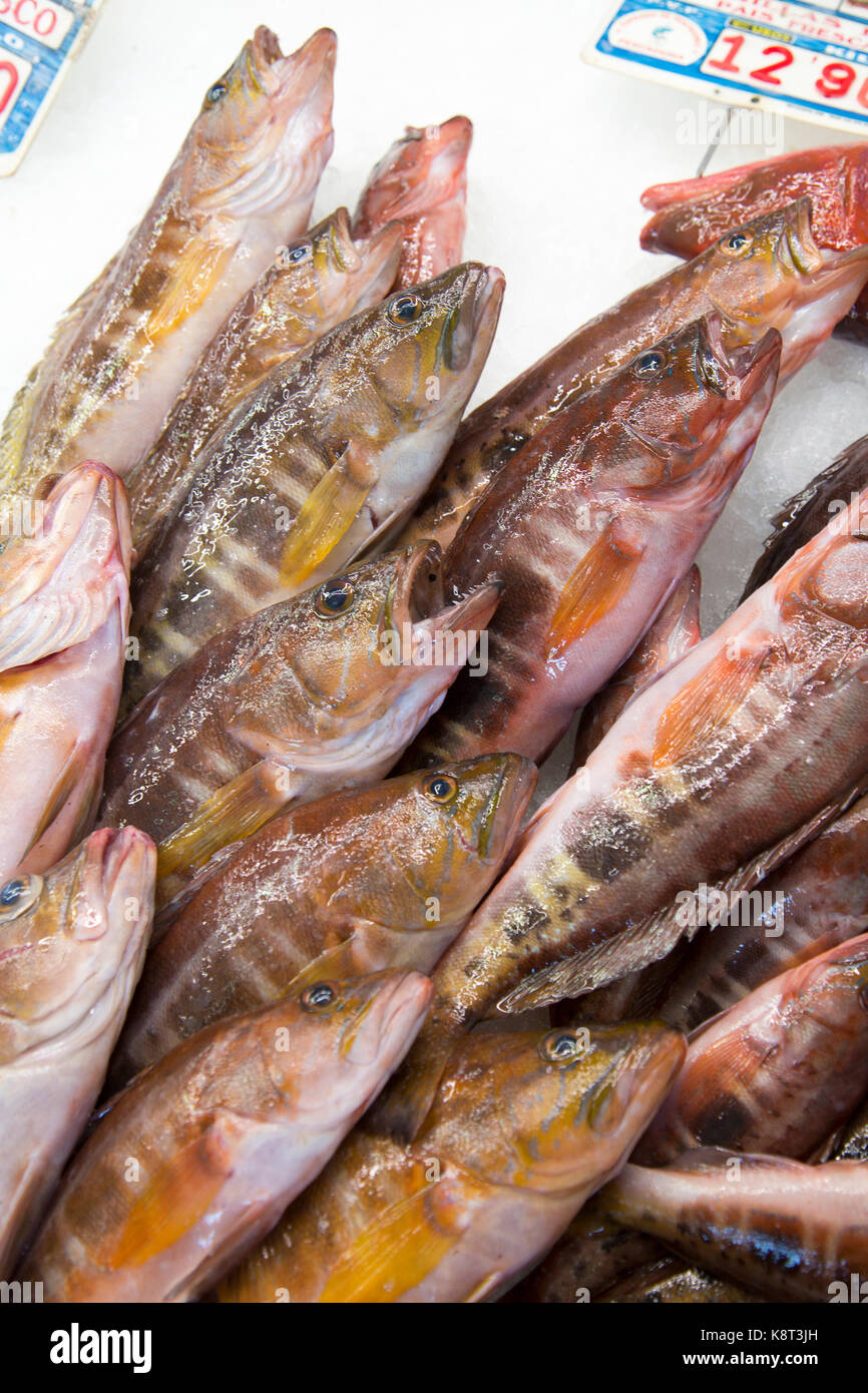 Fresh Fish On Sale At Fishmongers At Playa Blanca Lanzarote