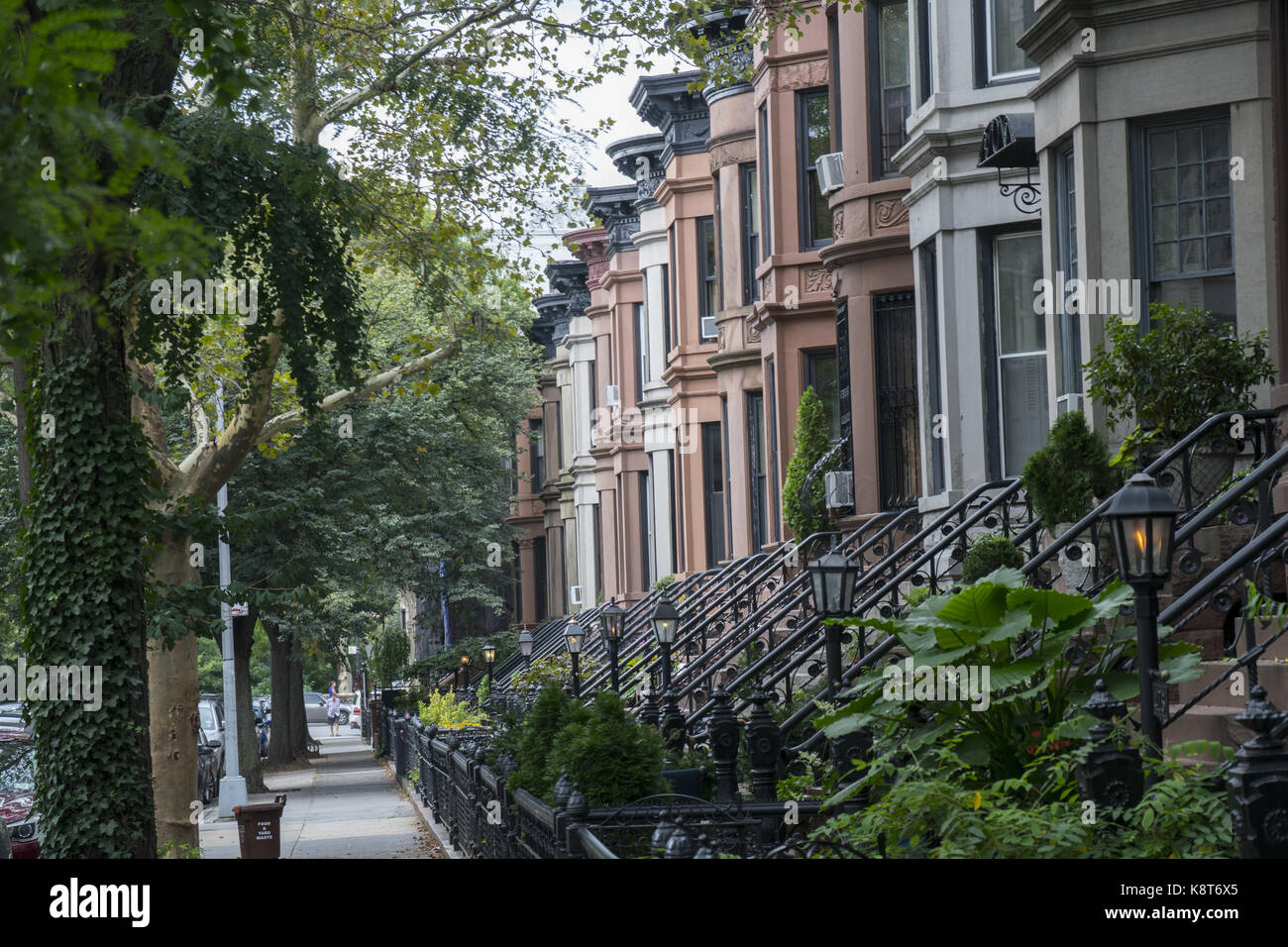 Classic Brownstone architecture lines the residential streets of much