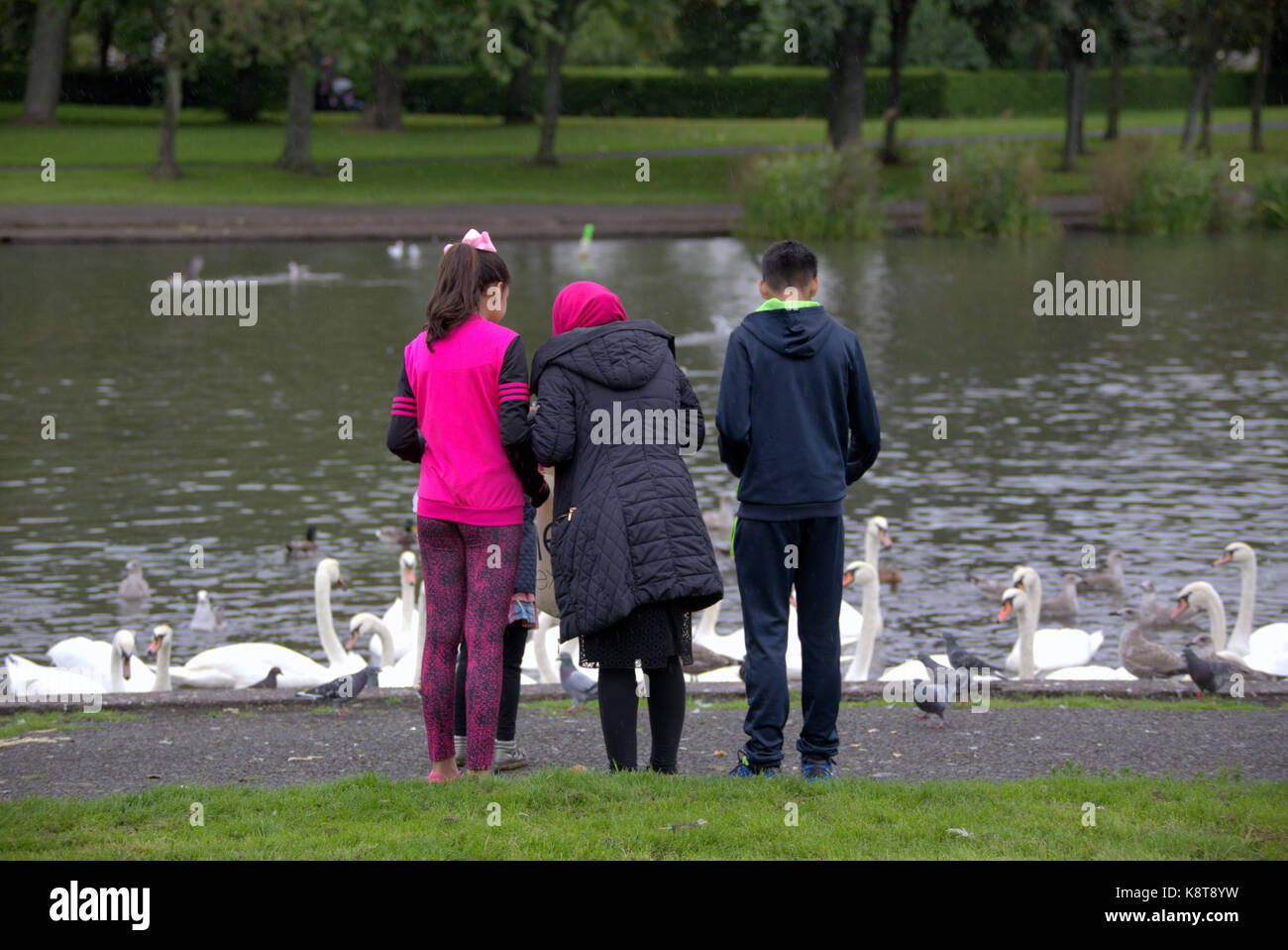 Knightswood Park pond immigrants refugees family swans feeding Stock Photo