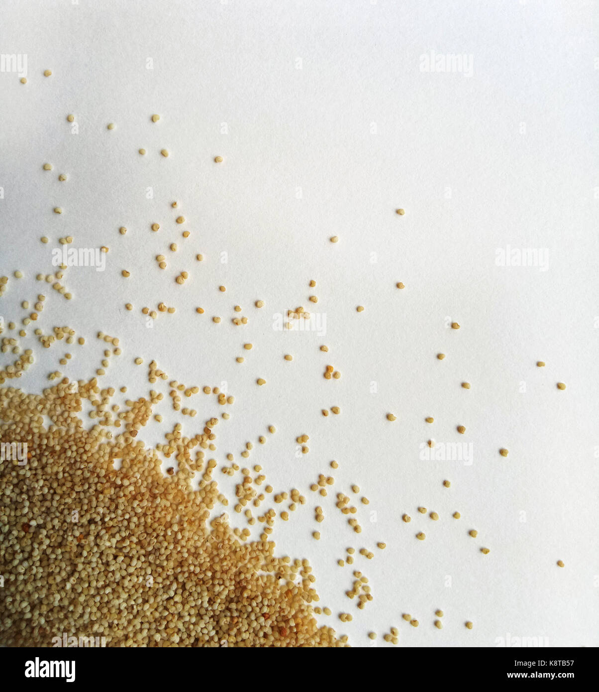 Kidney shaped seeds hires stock photography and images Alamy