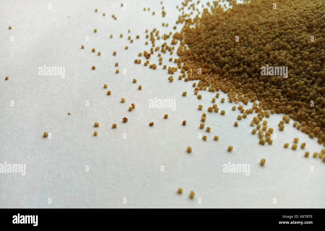 Kidney shaped seeds hires stock photography and images Alamy