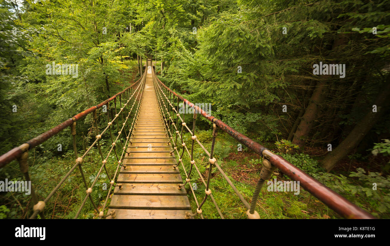 Cable stayed bridge in the forest Stock Photo