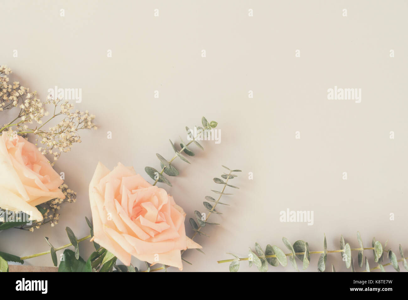 Unfresh Roses fresh rose flowers Stock Photo - Alamy