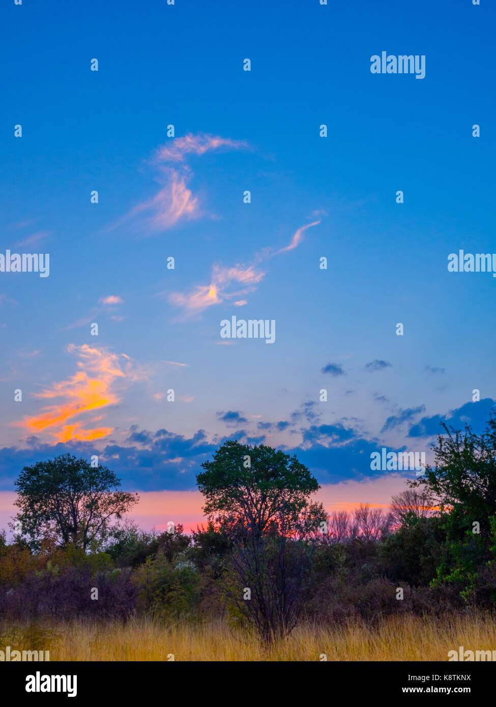 Dusk sky nature in vertical format Stock Photo