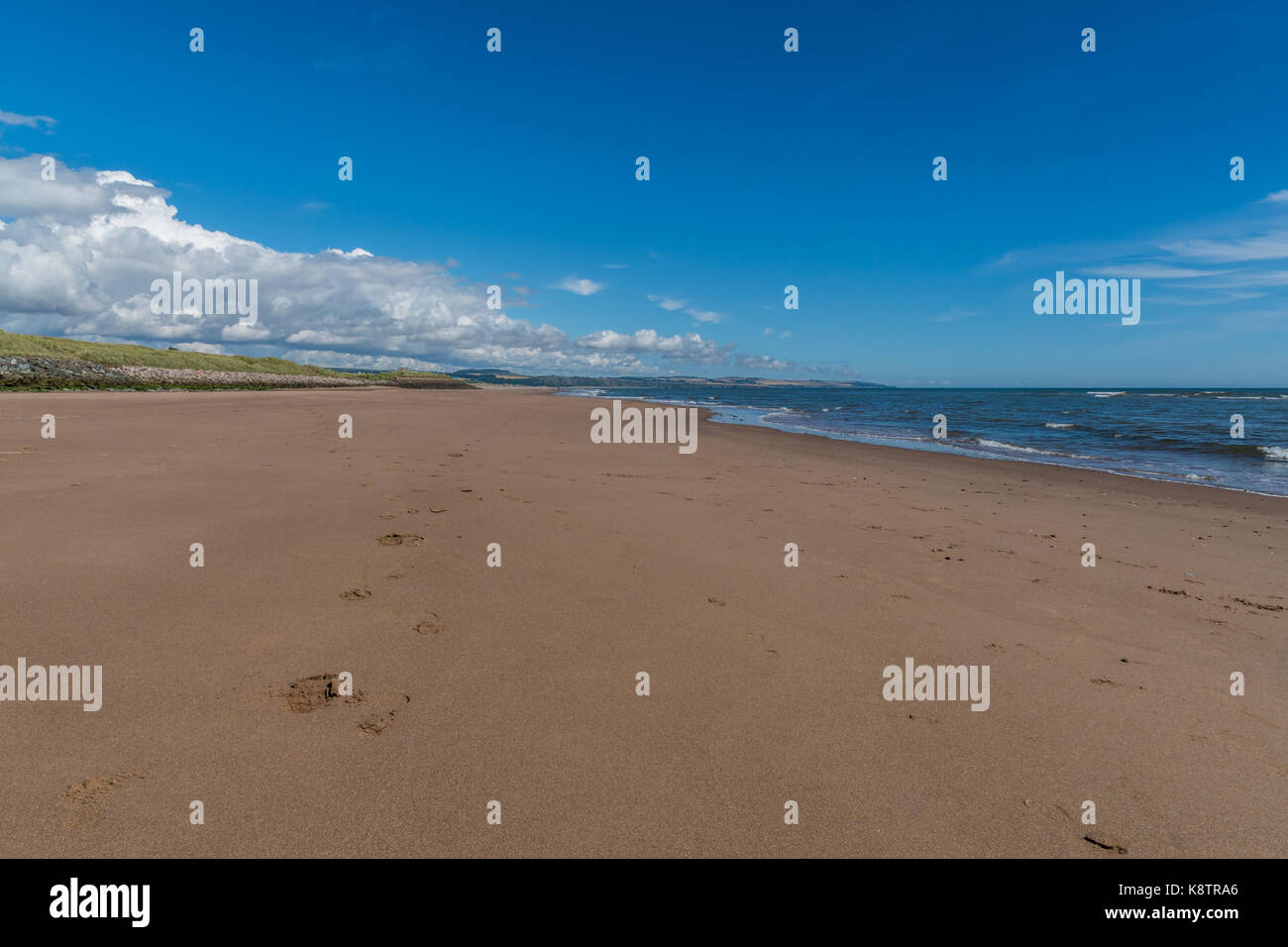 Footsteps disappear in the distance on Montrose sands. Stock Photo