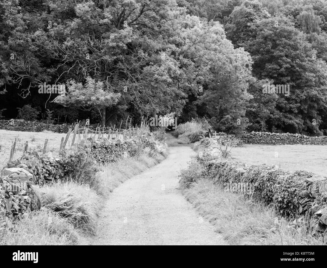 Down the Lane Stock Photo