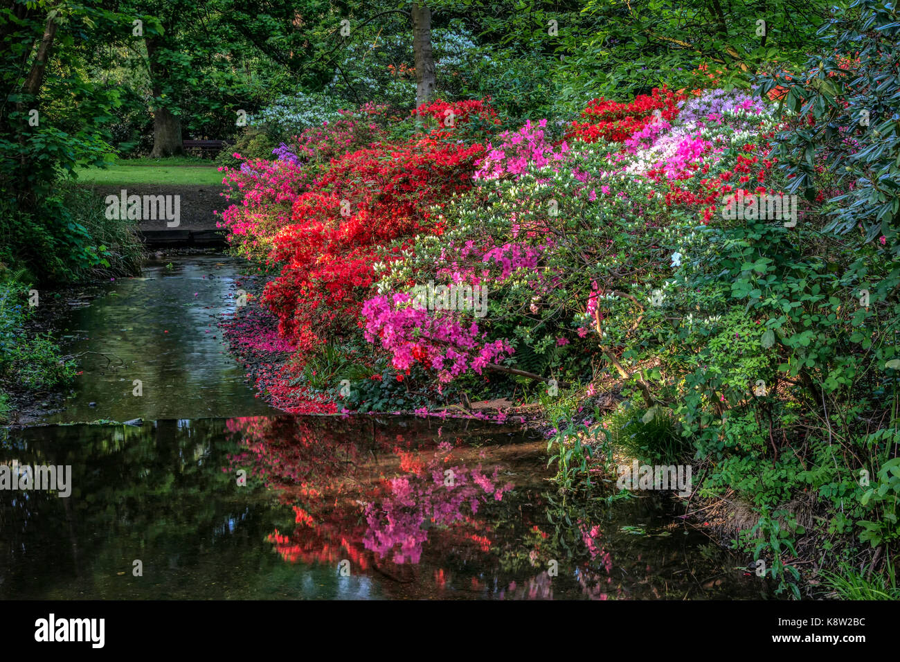Springtime in the Woodland Gardens, Bushy Park, London, UK. Colorful