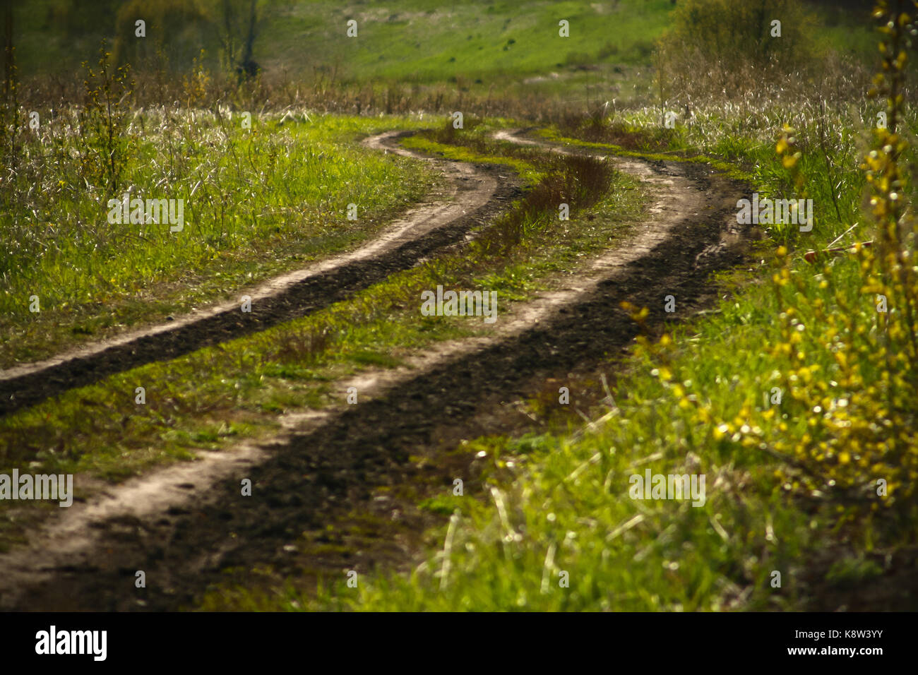 Mountain spring road Stock Photo Alamy