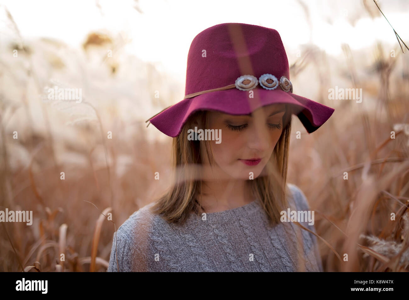 Woman in a wheat field at sunset Stock Photo - Alamy