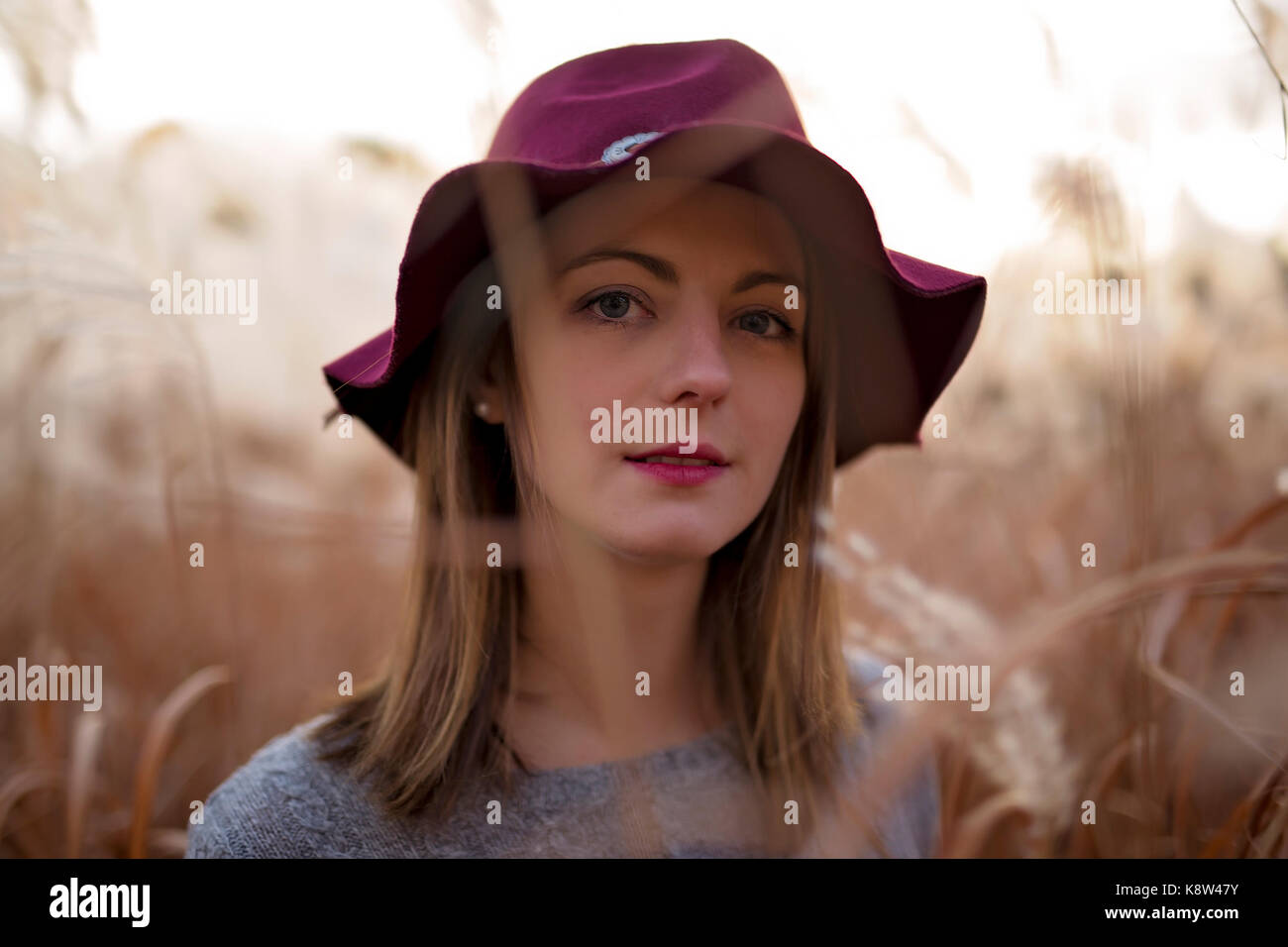 Woman in a wheat field at sunset Stock Photo - Alamy