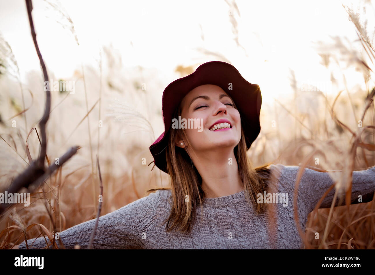 Woman in a wheat field at sunset Stock Photo - Alamy