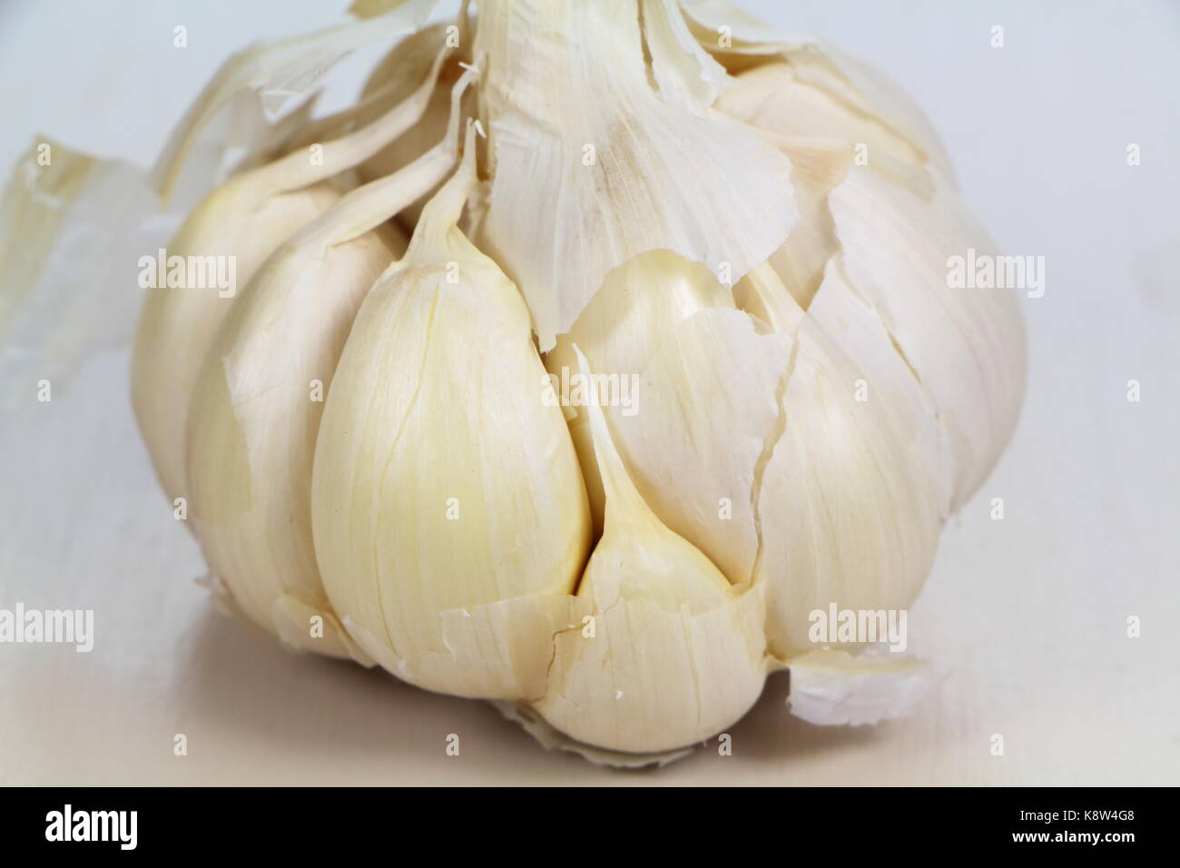 Closeup of white garlic head with cloves visible Stock Photo Alamy