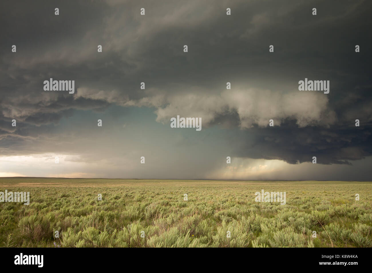 A wall cloud forms underneath a supercell thunderstorm on the high plains of eastern Colorado. Stock Photo