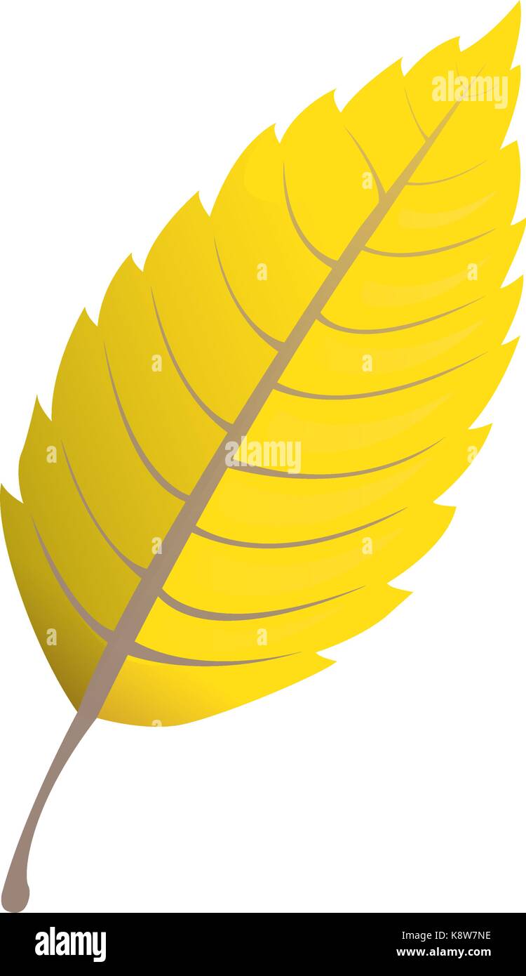 Isolated leaf icon Stock Vector Image & Art - Alamy
