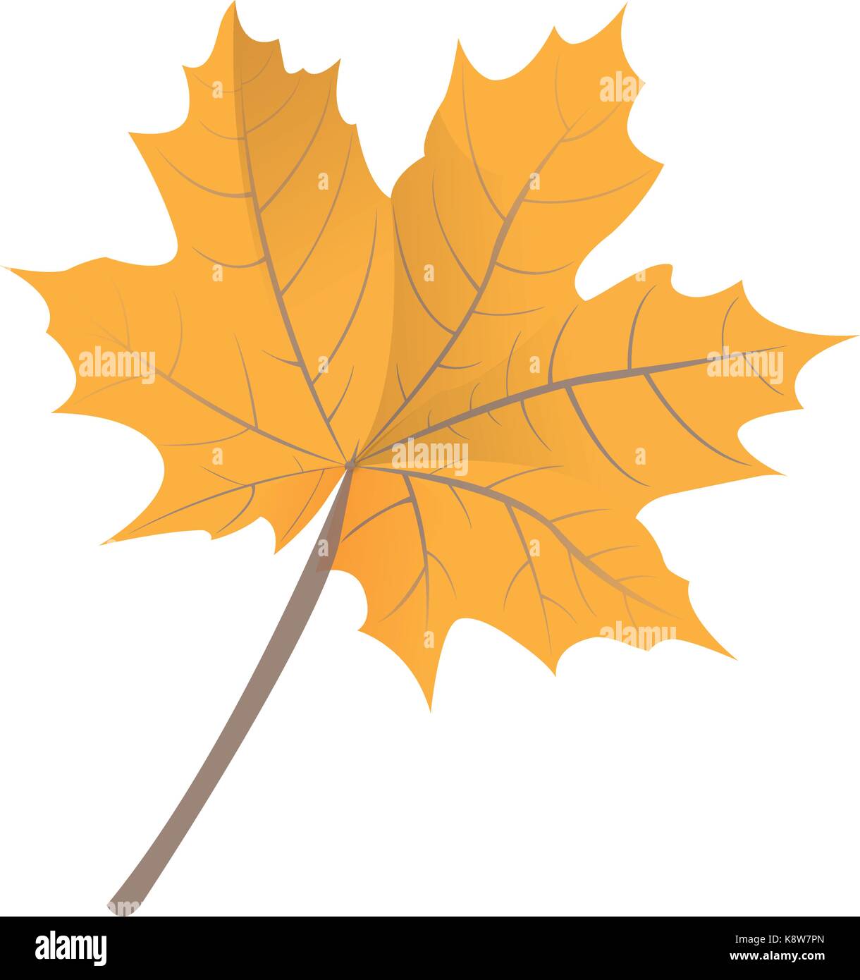 Isolated leaf icon Stock Vector Image & Art - Alamy