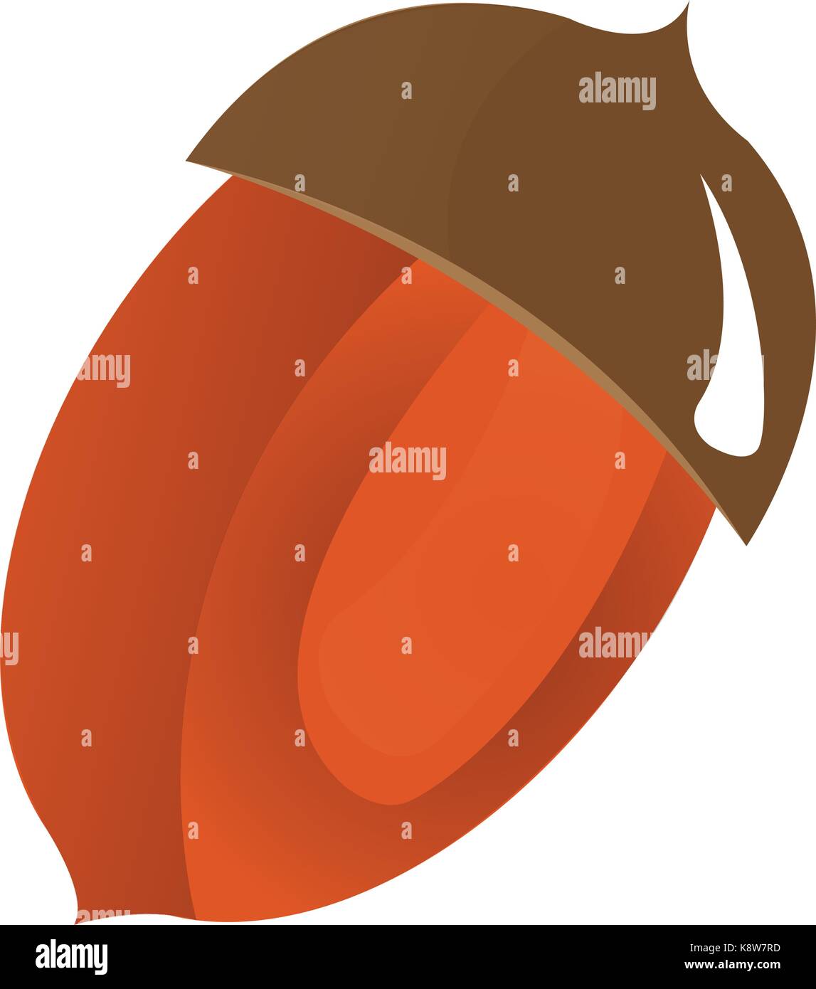 Filbert nut Stock Vector Images Alamy