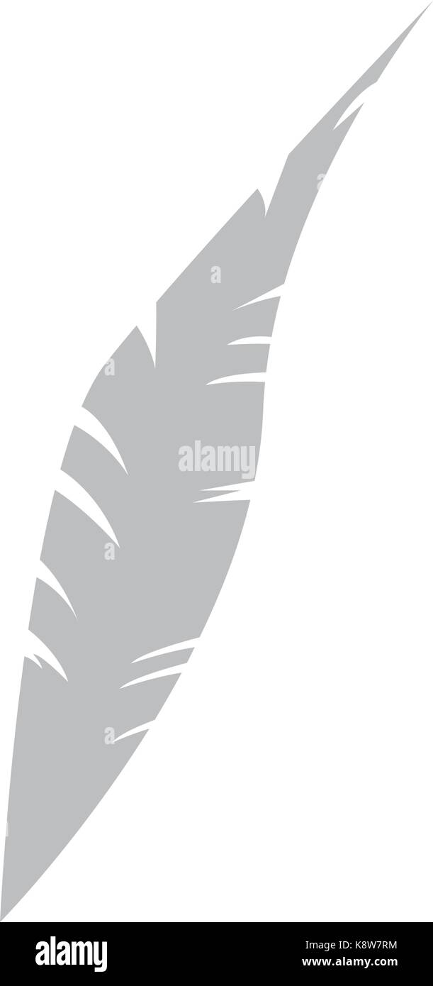 Isolated feather icon Stock Vector Image & Art - Alamy