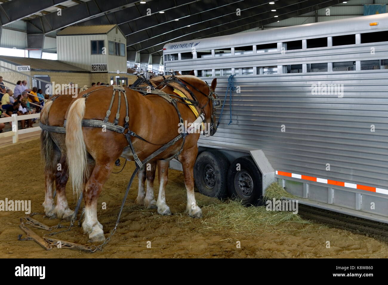 Rural fair draft horses hires stock photography and images Alamy