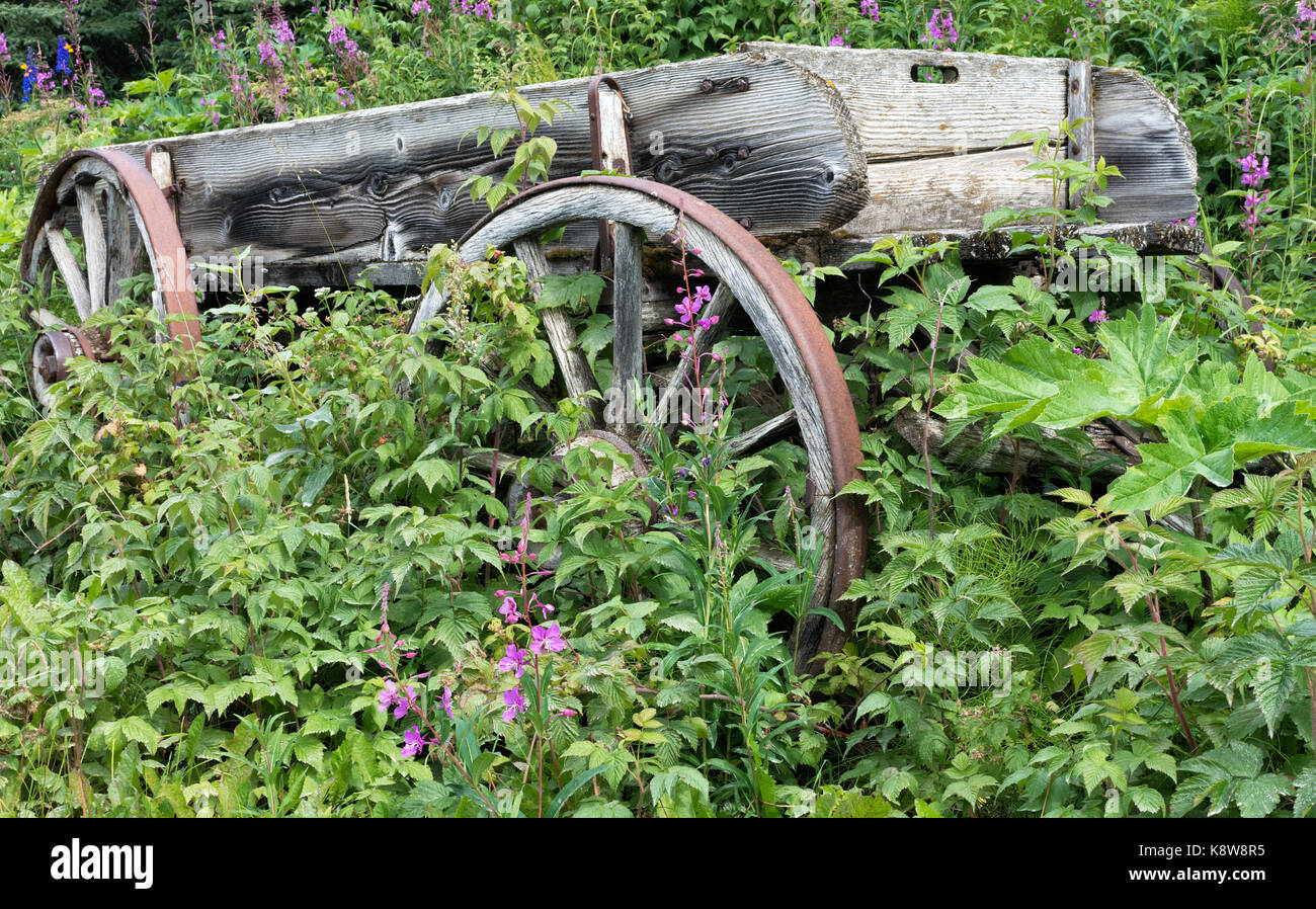 Weather wood and rusty wheels are all that remains of a turn of the last century wagon. Stock Photo