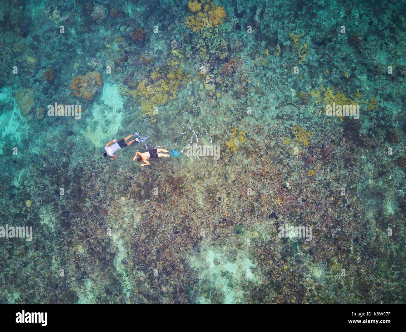 Aerial snorkeling High Resolution Stock Photography and Images - Alamy