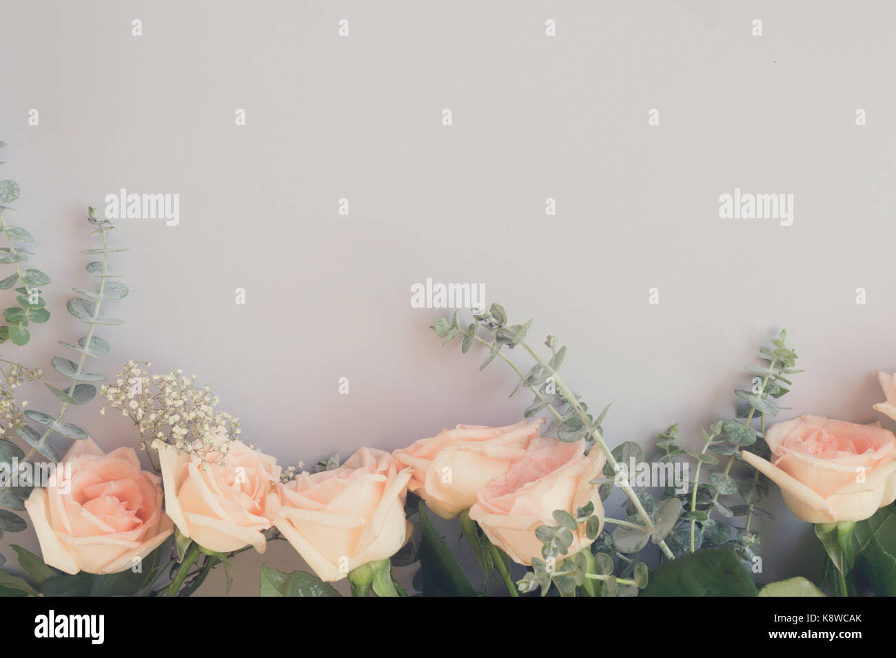 Unfresh Roses fresh rose flowers Stock Photo - Alamy