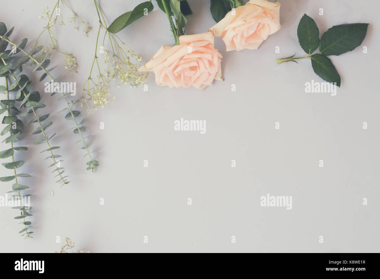 Unfresh Roses fresh rose flowers Stock Photo - Alamy