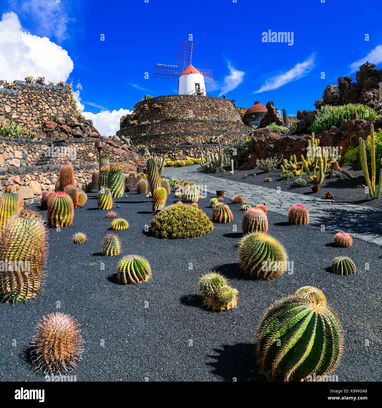 Popular Garden of Cactus in Lanzarote island,Canary,Spain Stock Photo -  Alamy