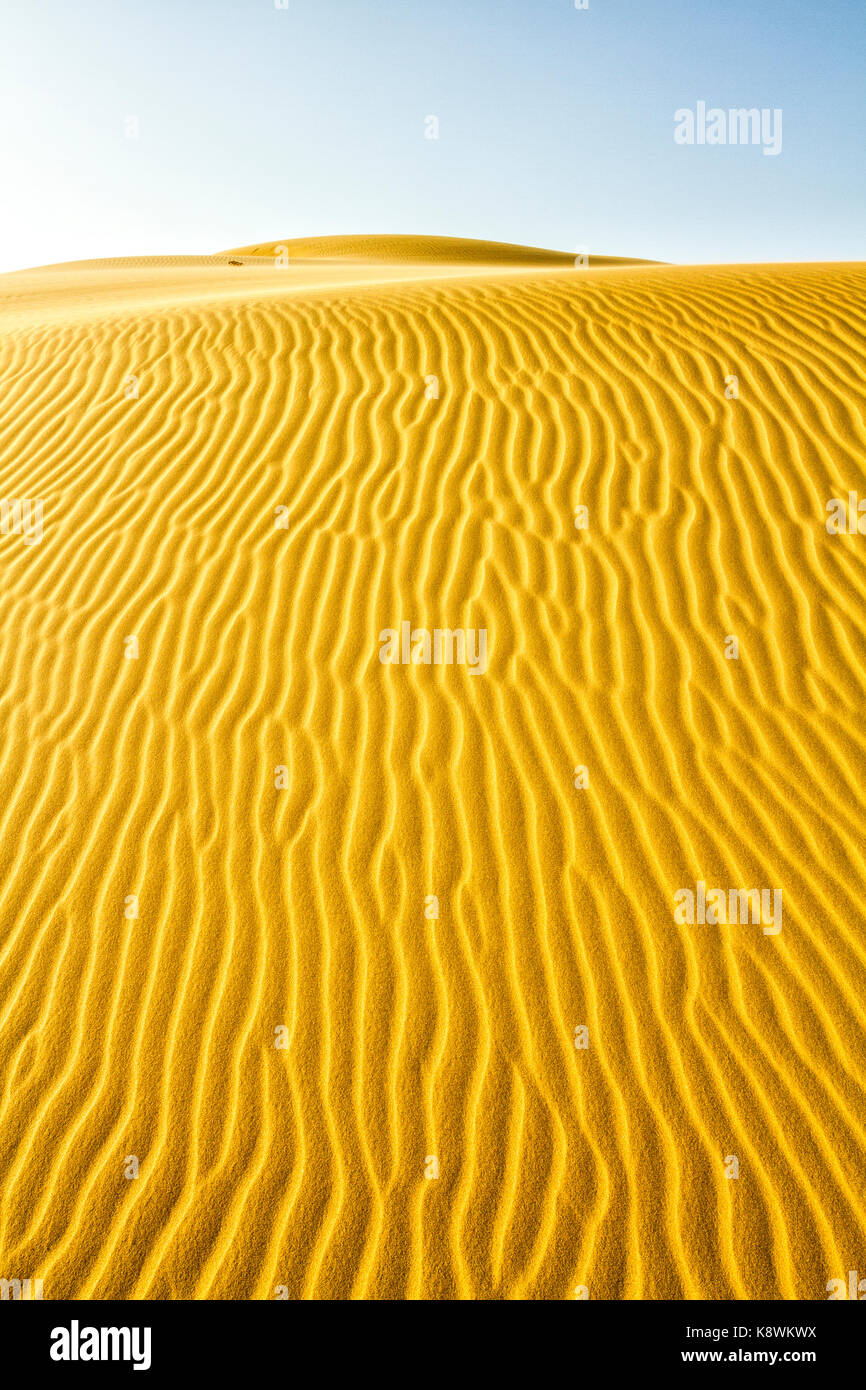Dunes of Medanos de Coro National Park. Coro, Falcon State, Venezuela. Stock Photo