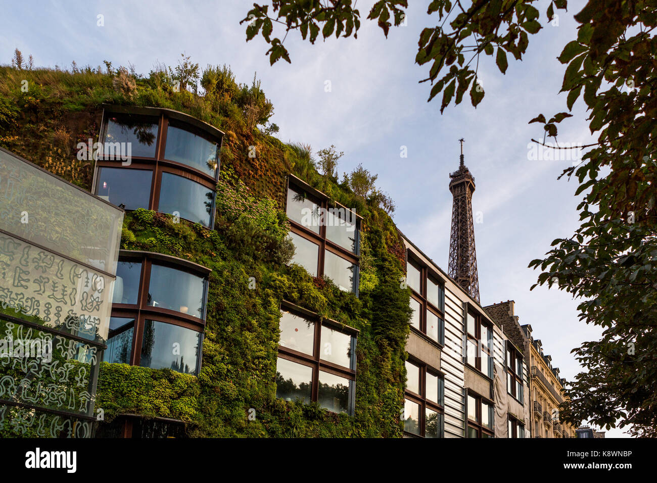 A Parisian street building covered in foliage Stock Photo