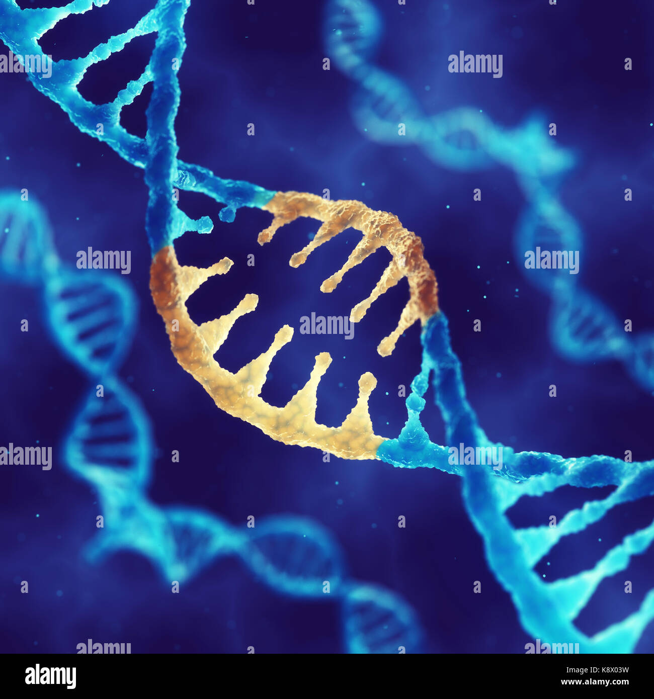 Double helix DNA molecule with modified genes  , Correcting mutation by genetic engineering Stock Photo