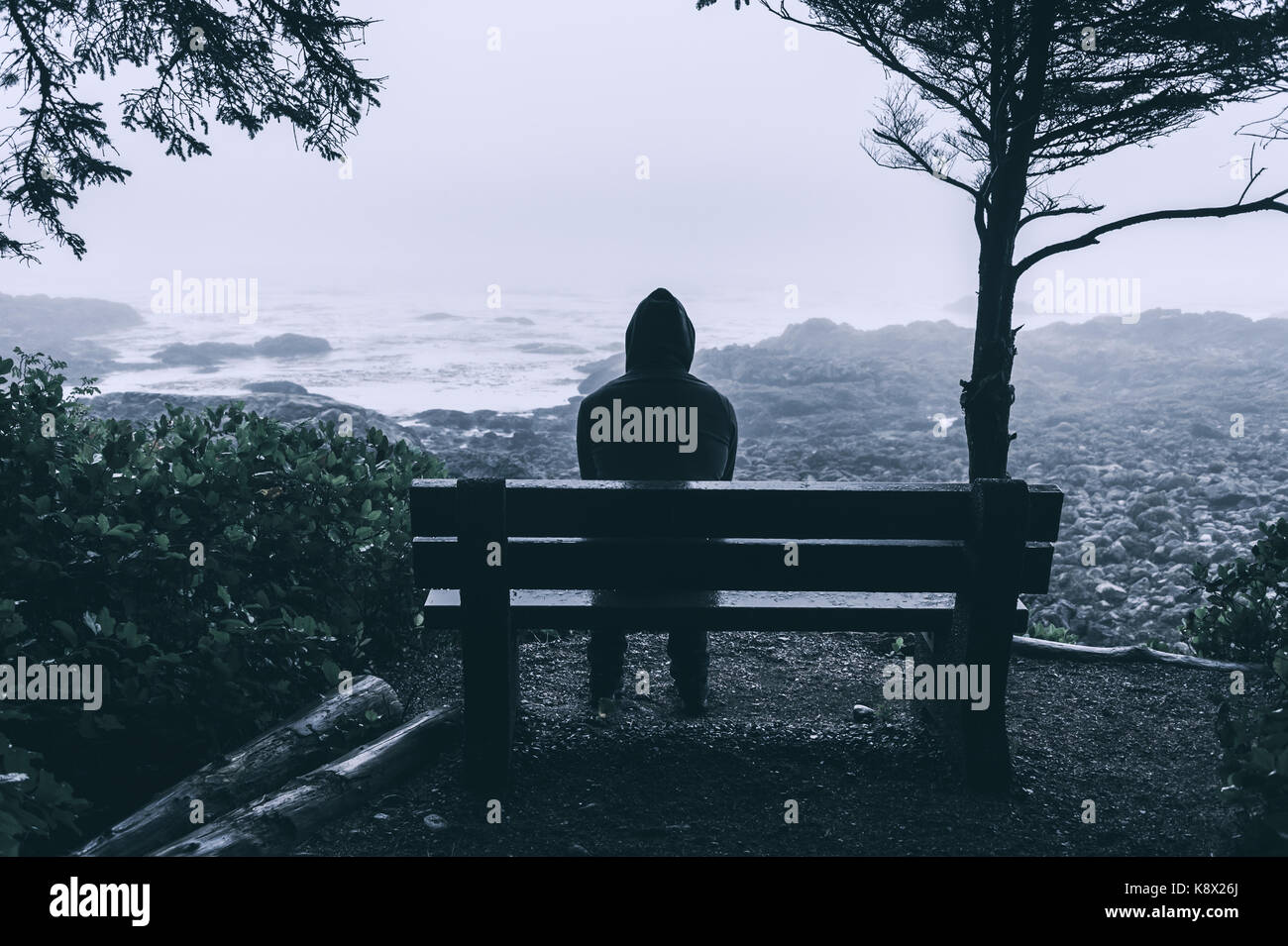 Sad and lonely man sitting on bench overlooking sea on Vancouver Island Stock Photo