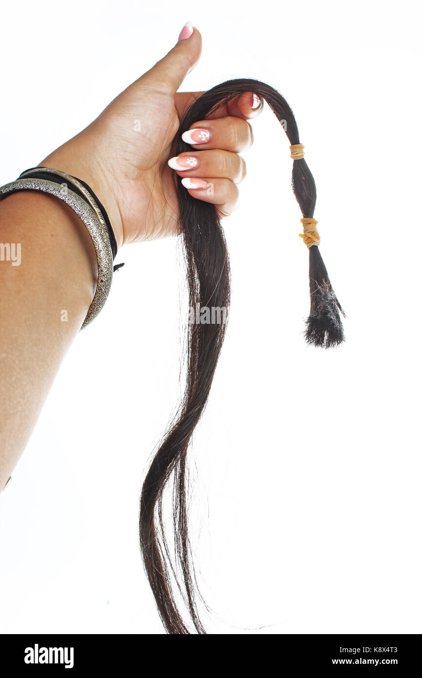 Cutted hair tail for hair extension. Stock Photo