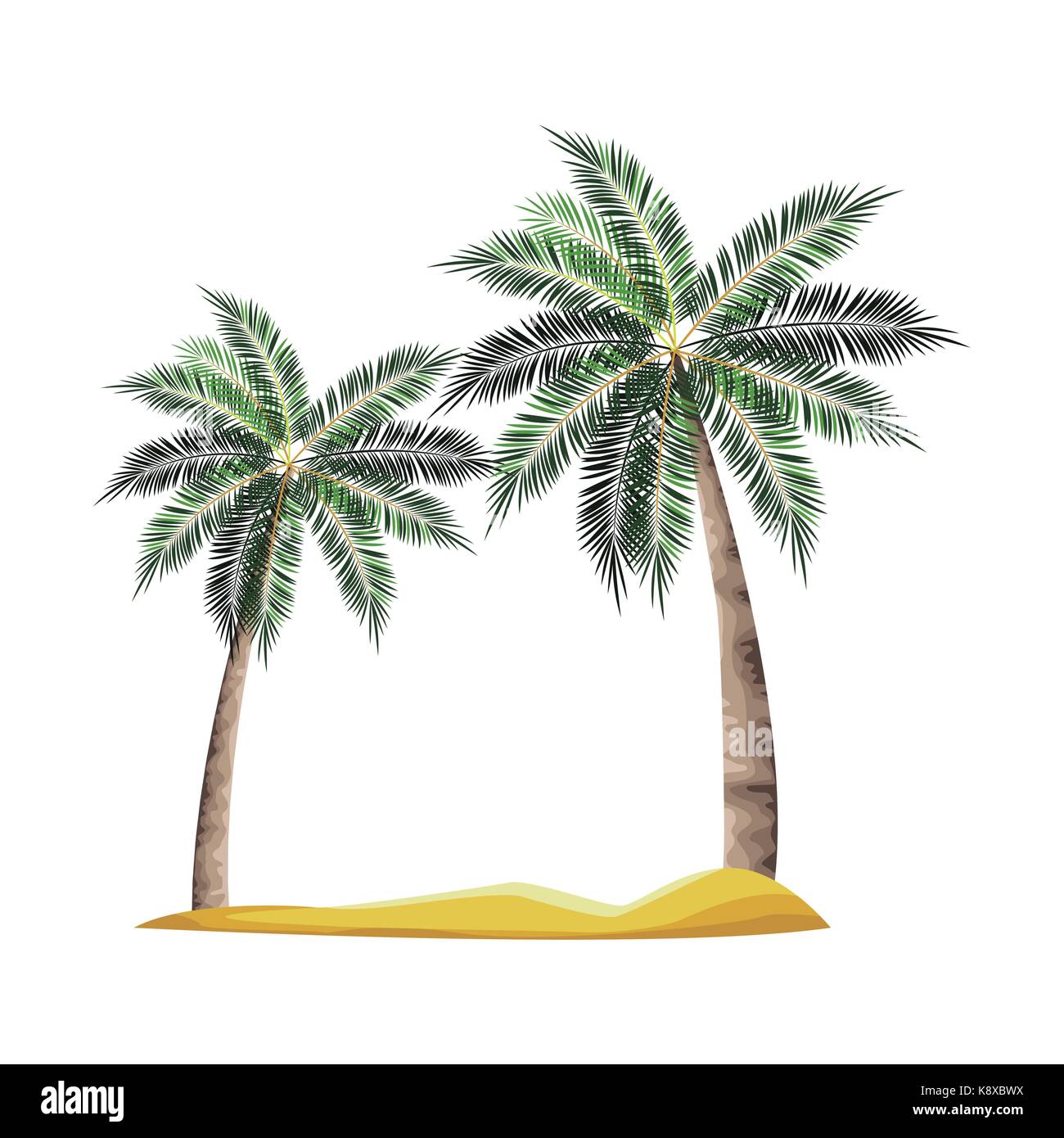 Beach tree palms Stock Vector Image & Art - Alamy