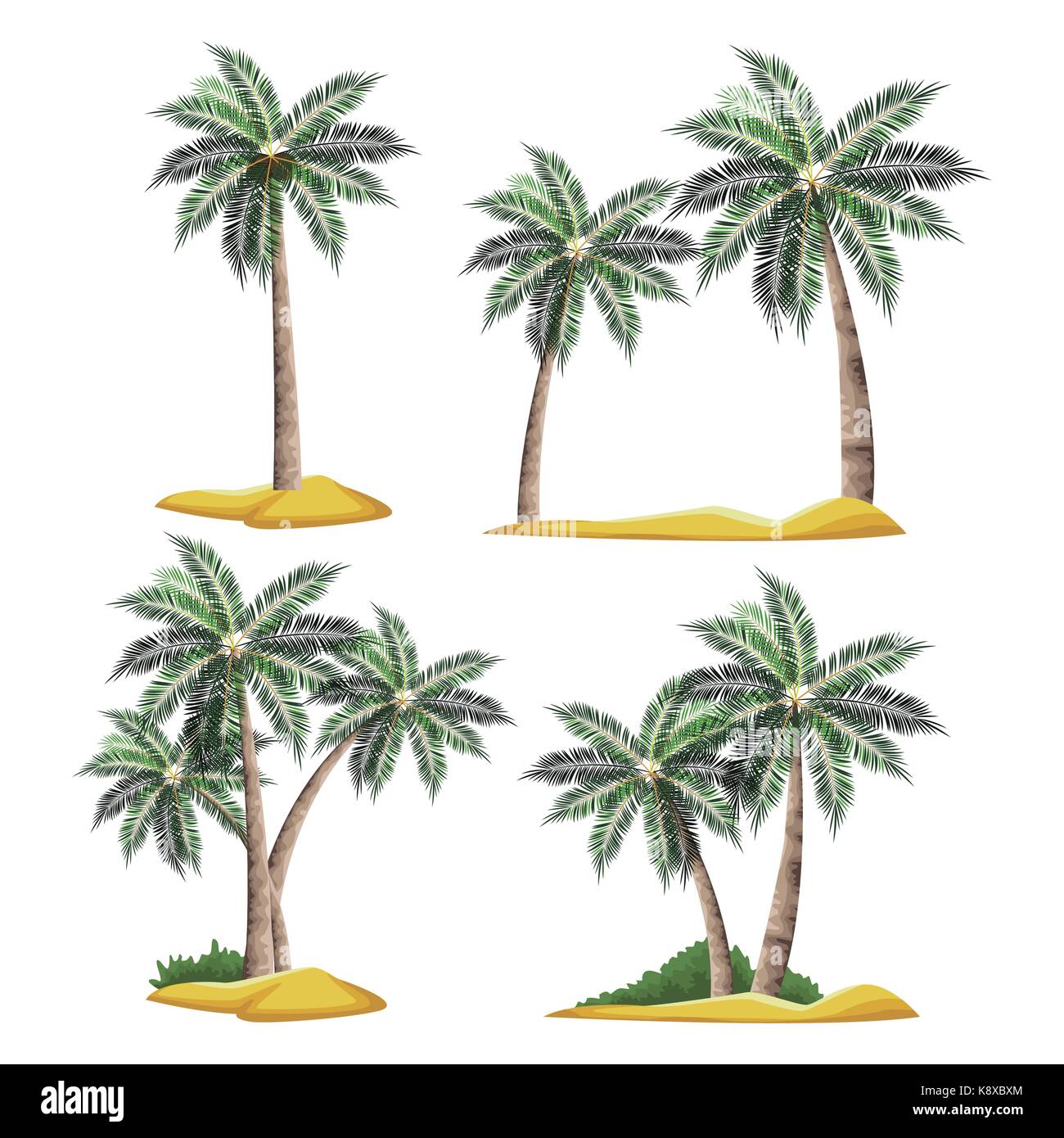 Beach tree palms Stock Vector Image & Art - Alamy
