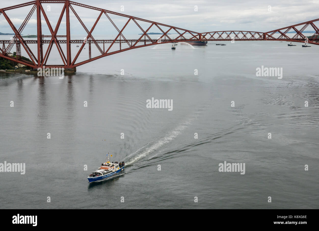 Forth Tours tourist boat Forth Belle sailing under cantilever Forth Rail bridge, Firth of Forth, Scotland, UK, in calm water Stock Photo