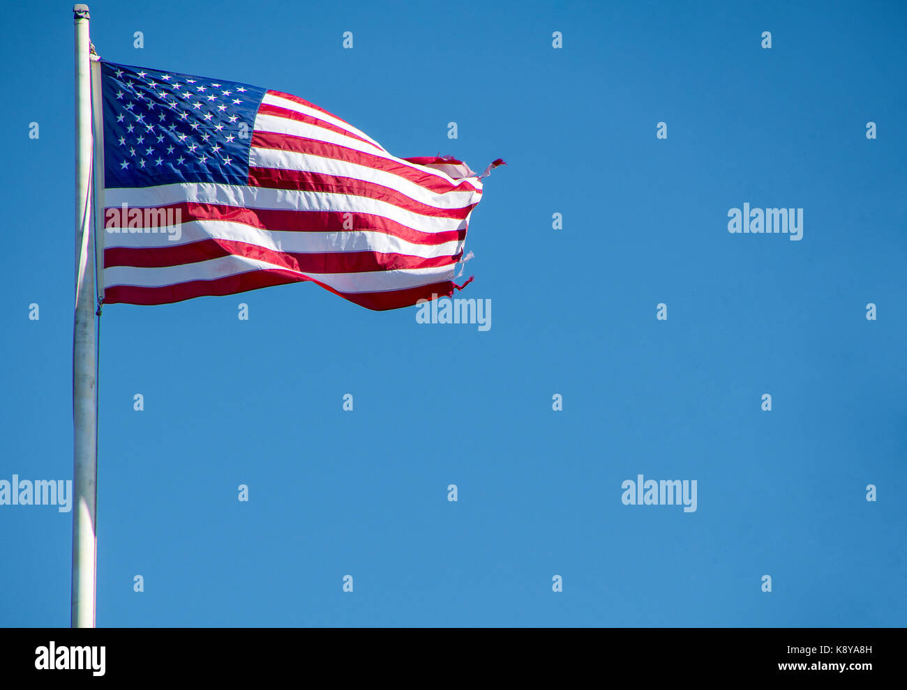 American flag on pole with frayed edge on bright blue sky Stock Photo